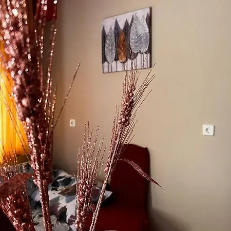 Teo's House 3 Apartament *